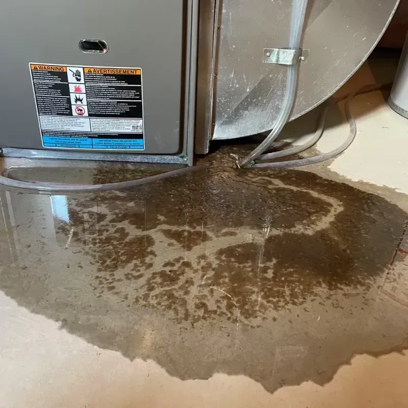 Appliance Leak Cleanup in Billerica, MA